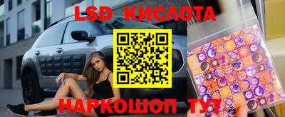 стаф Донецк