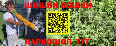 стаф Донецк