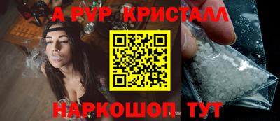 стаф Донецк