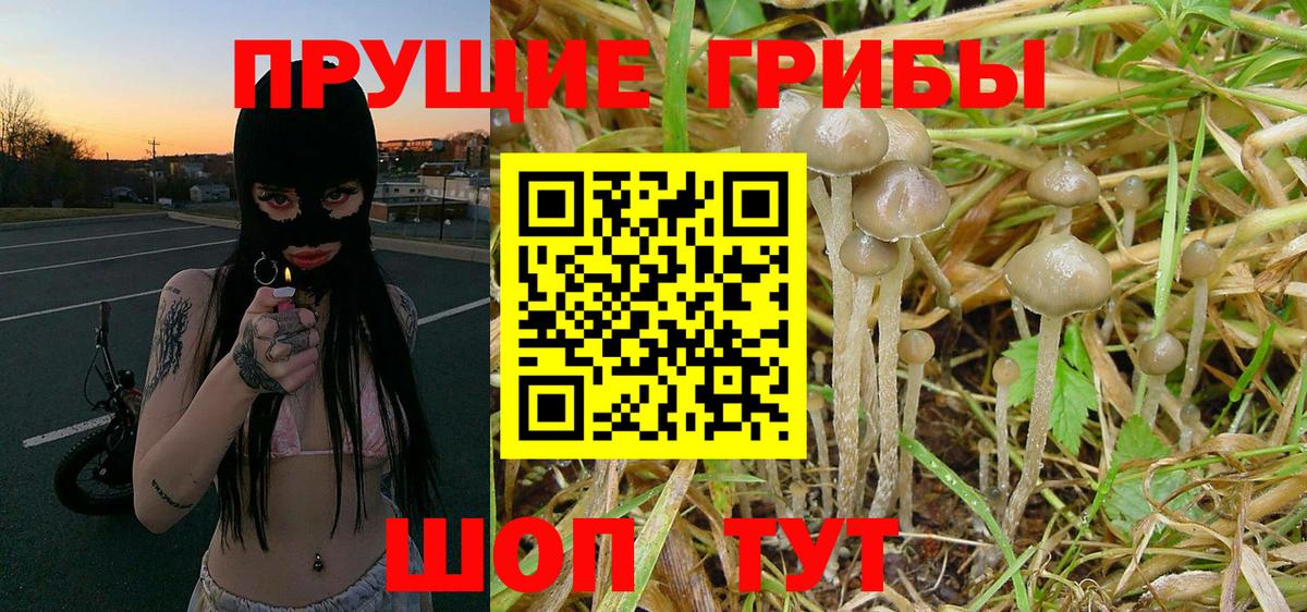 Норильск  Галлюциногенные грибы GOLDEN TEACHER  Вход с VPN 